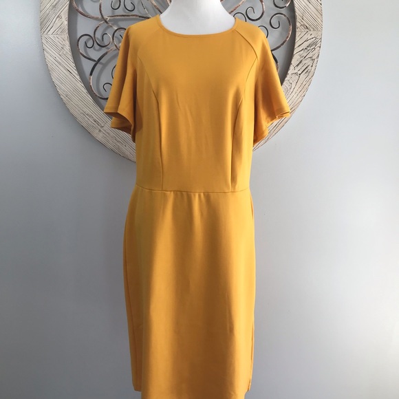 Ashley Stewart Dresses & Skirts - Ashley Stewart Dress. NWT Size 12
